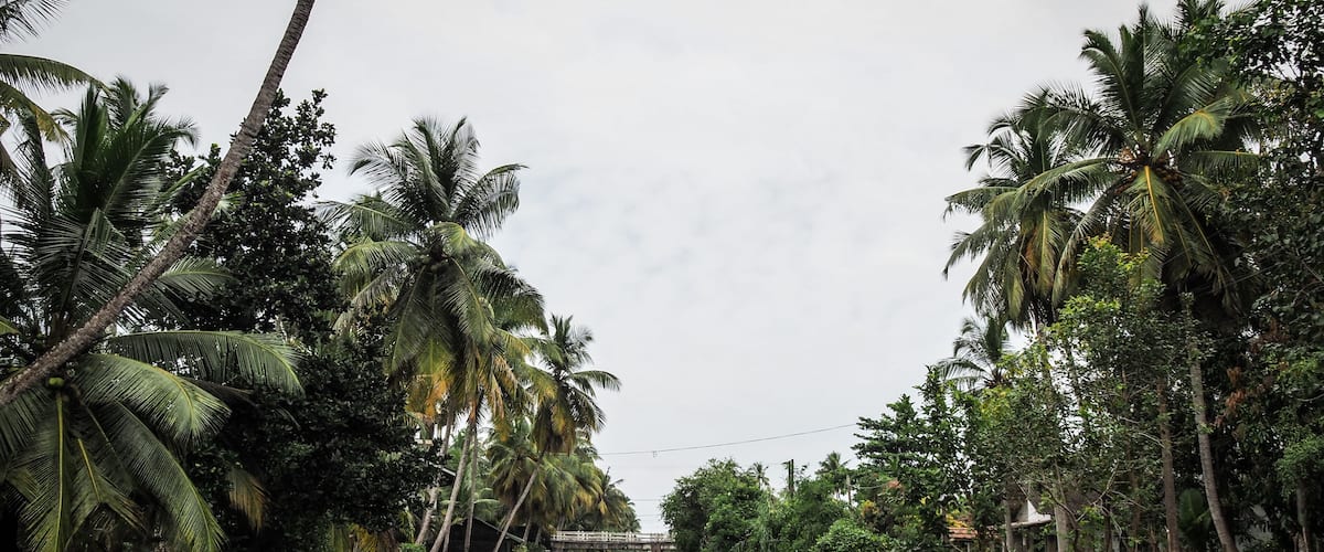 The landscape of the Negombo Lagoon in Sri Lanka