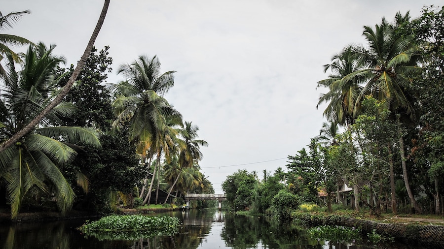 The landscape of the Negombo Lagoon in Sri Lanka