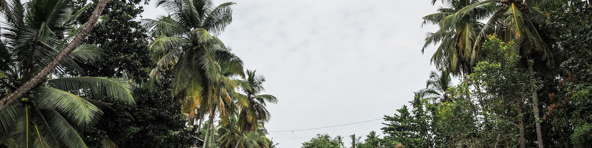 The landscape of the Negombo Lagoon in Sri Lanka