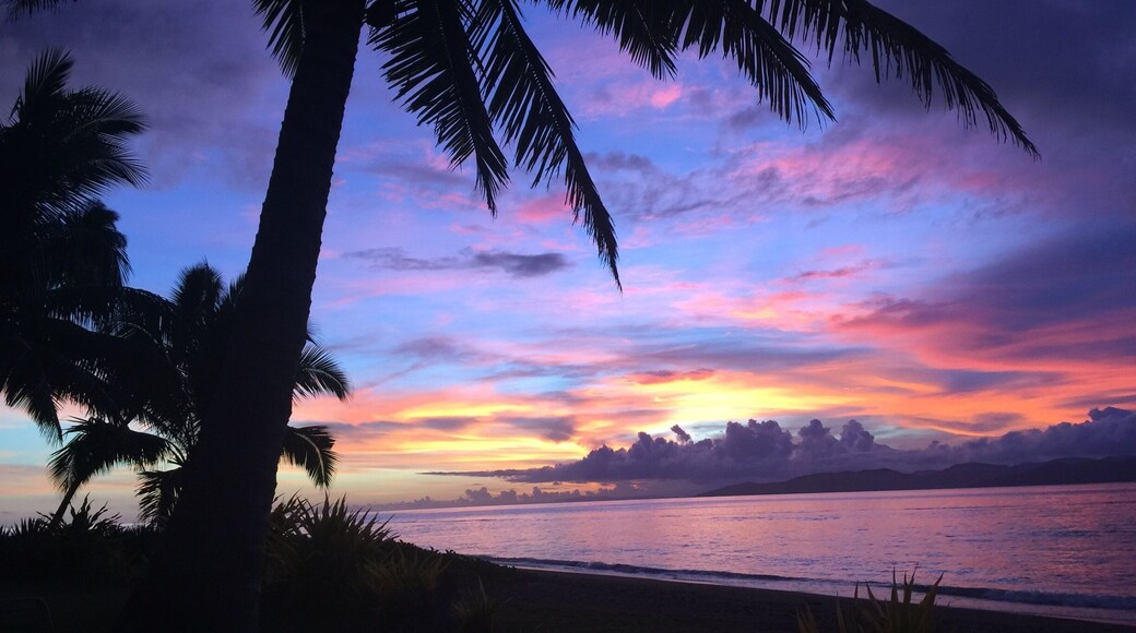 What a fantastic little resort just next to Taveuni jetty 😎👍
Excellent food and service!