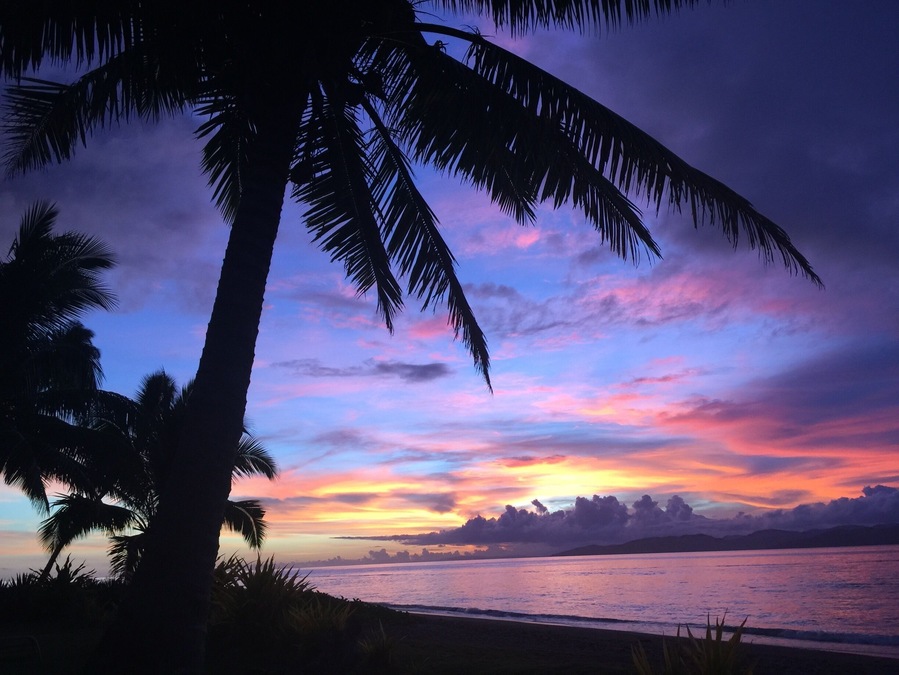 What a fantastic little resort just next to Taveuni jetty 😎👍
Excellent food and service!