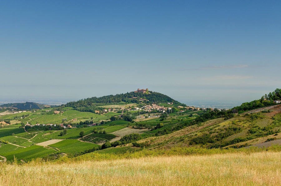 A hilltop castle overlooking a valley with vineyards and scattered houses.