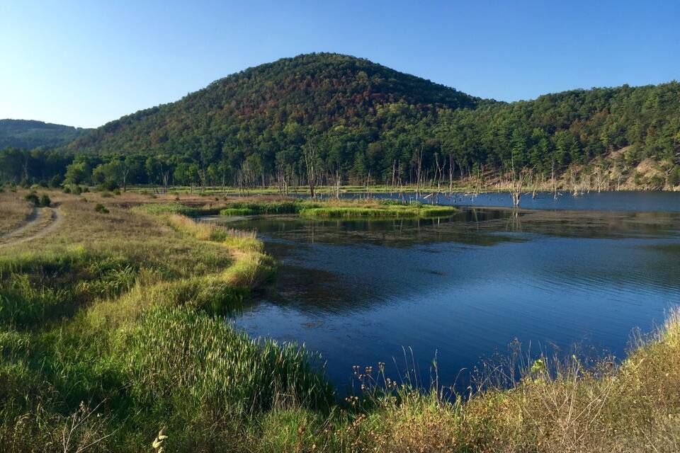 A calm lake surrounded by lush greenery and a forested hill.