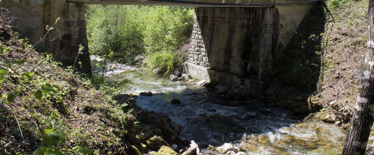 A concrete bridge over a river with rocky banks and greenery.