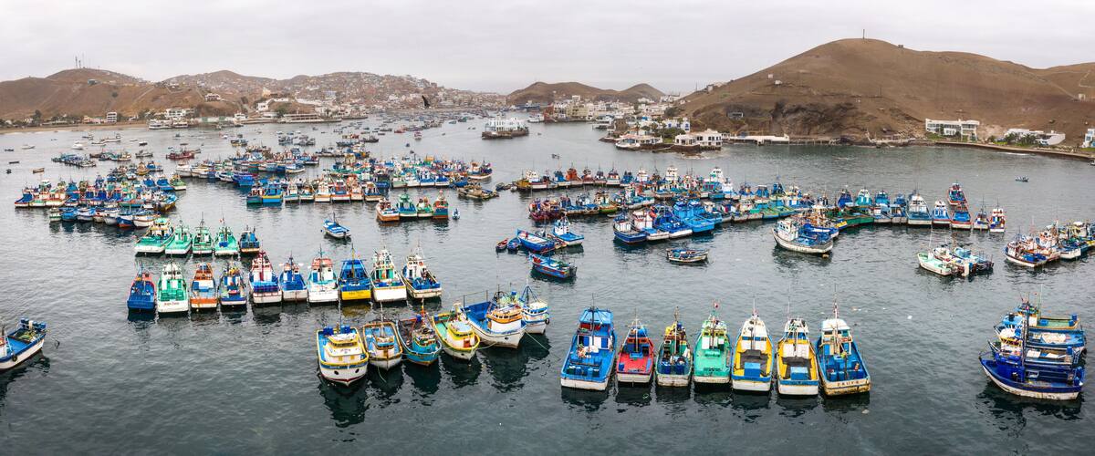 A harbor filled with numerous colorful boats docked in calm waters.