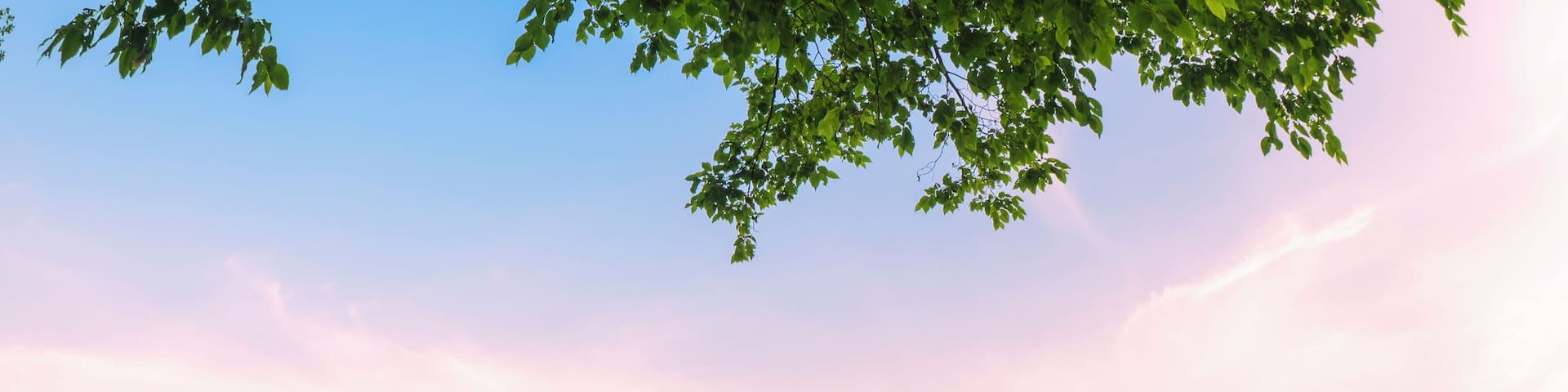 Italy, Lombardy, back view of man sitting on jetty at Lake Idro at morning twilight