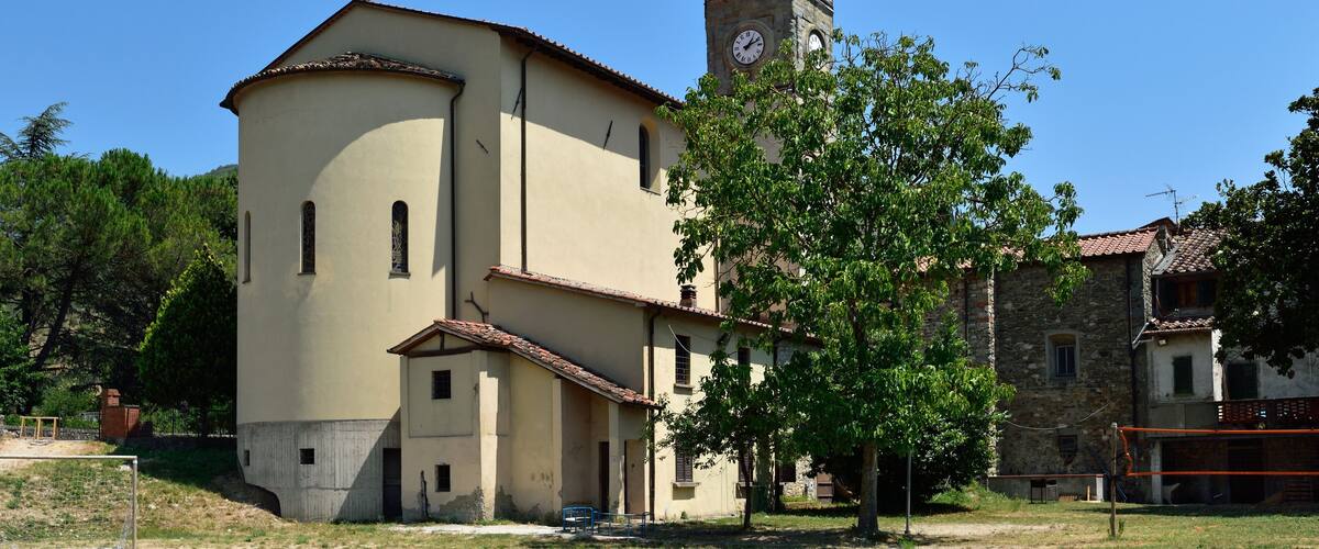 A church with a bell tower and a large tree in front.