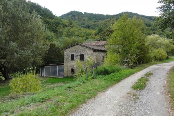 Una rustica casa in pietra circondata da rigogliosa vegetazione e un vialetto sterrato.