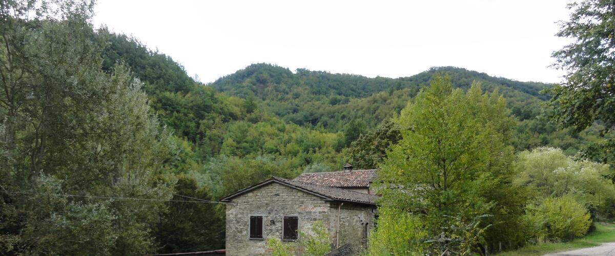 A rustic stone house surrounded by lush greenery and a gravel path.