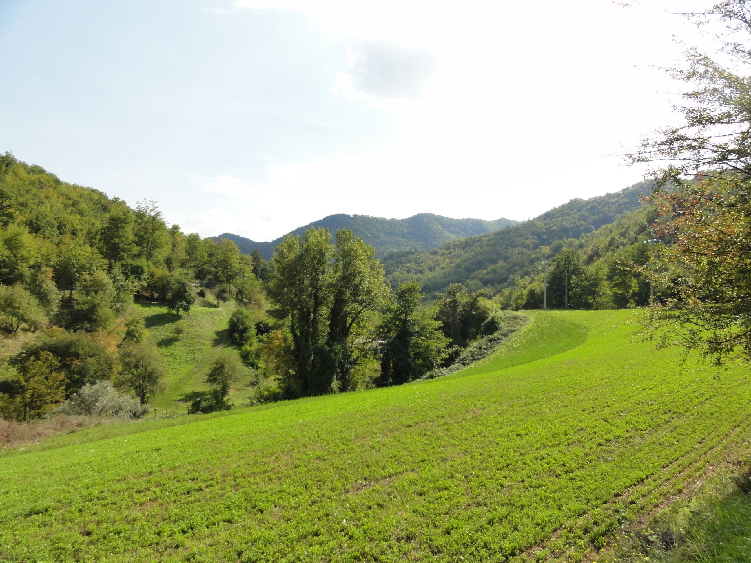 sulla strada di Valnera