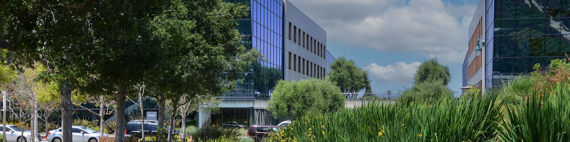 USA California Los Angeles Playa Vista May 8 2023 central park