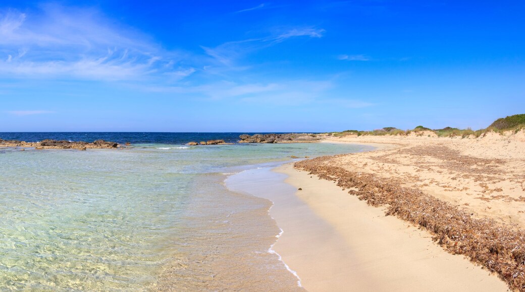 Typical beach of Salento, with almost sandy coves and embellished with low cliffs, easily accessible, in the territory of the municipalities of Salve and Ugento in Puglia, Italy.