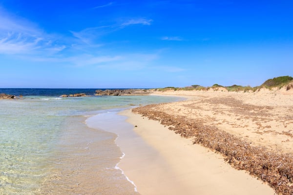 Typical beach of Salento, with almost sandy coves and embellished with low cliffs, easily accessible, in the territory of the municipalities of Salve and Ugento in Puglia, Italy.