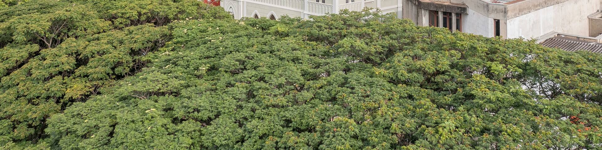 Aerial view of square Matriz, downtown in Passos, Minas Gerais, Brazil