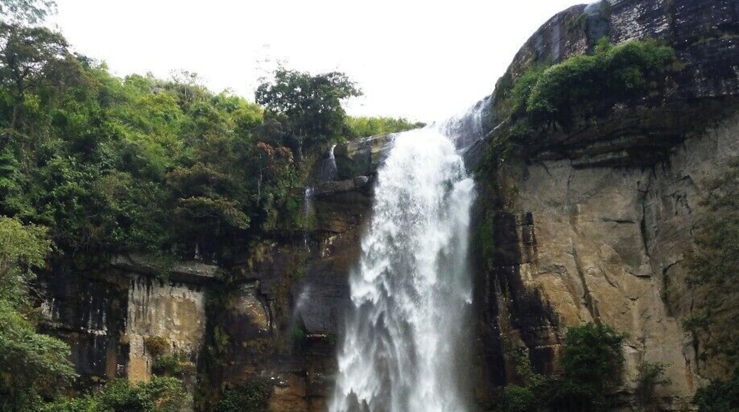 After a walk of 3km through the rain forest ,finally, we reached to the upper cascade of Ramboda. The water of Kothmala river falls down from a height of 109m to form this beautiful waterfall.
There are 6 waterfalls in Ramboda and Thawalamthenna. Altogether, we walked 32km in order to see all the six waterfalls and amazing wildlife of the rain forests.