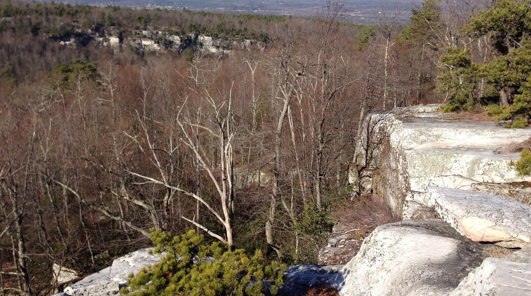 take the Mohonk Preserve trials on to the Minnewaska property