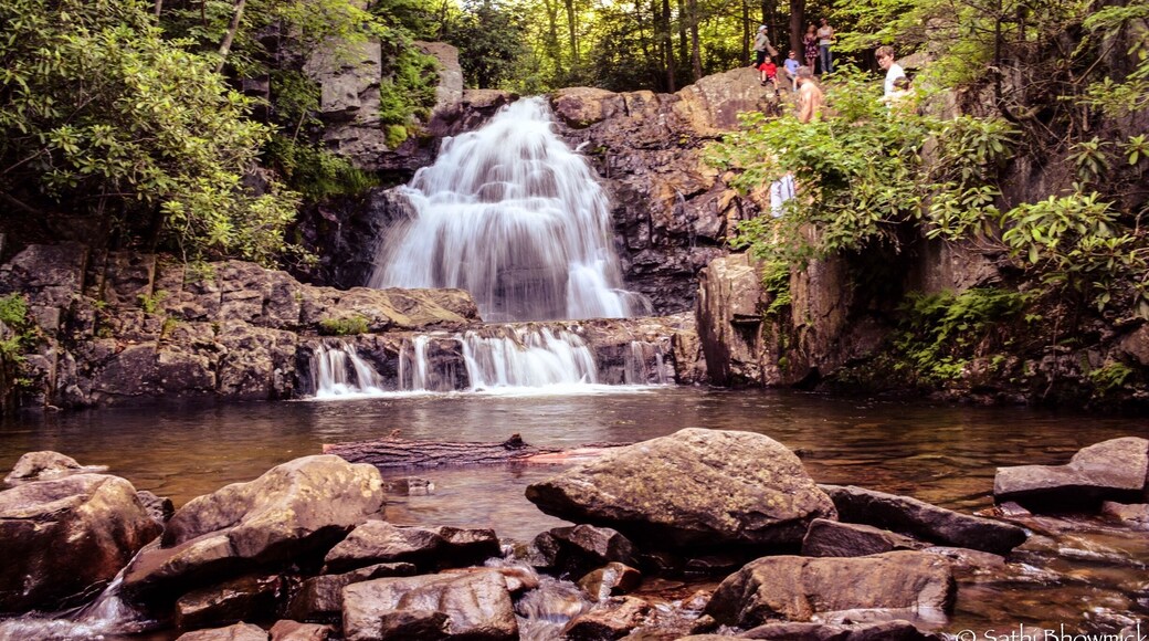 This accessible and beautiful falls trail is a must-do for hikers in the area or passing through. Amble through the trees of Hickory Run State Park and enjoy the view of Hawk Falls.
Hawk Falls is located in Hickory Run State Park, Pennsylvania in the Poconos Mountains. The 0.7 out-and-back trail is mostly downhill, with some slippery sections so wear adequate shoes and take caution when you approach the falls. A rock outcrop at the top of the falls makes for a great lookout point. #hawkfalls #hikingfun #hiking #hikingadventures #hickoryrunstatepark #waterfall #pennsylvania #explorer #goodearth #naturalbeauty #ignature #instadaily #exploremore #waterfalls #waterfallhikes #hikevibes #weekendhiking #travel #traveller #travelgirl #travelblogger #traveltheworld #travelbloggers #traveljournal #igwaterfalls #ig_newtag #usadiaries #hikeandshoot #naturegram #green #TakeAhike