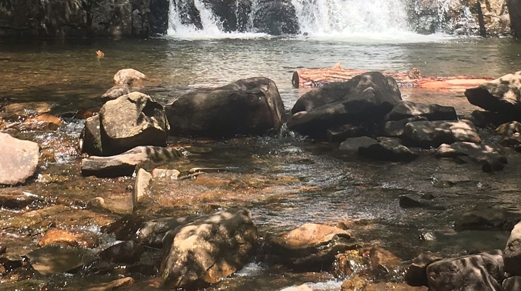 Hawk falls! Easy trail and short distance but gorgeous falls!