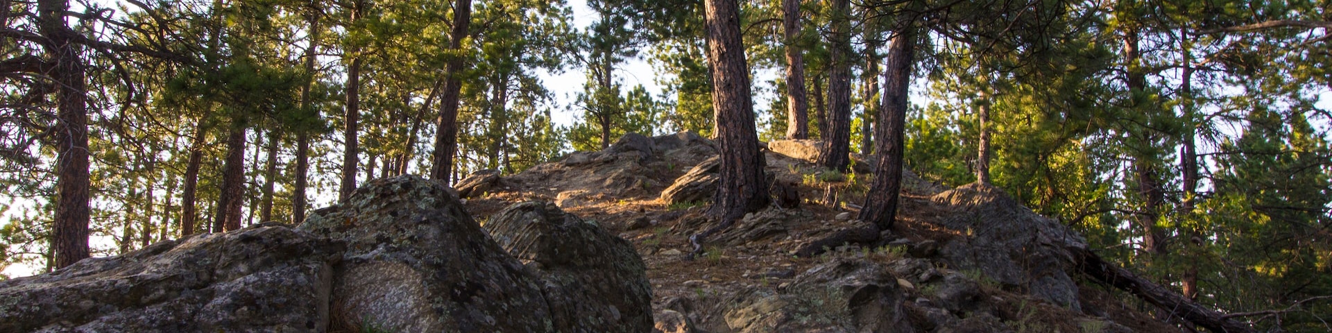 Oak Park in Summer, Whitewood, South Dakota