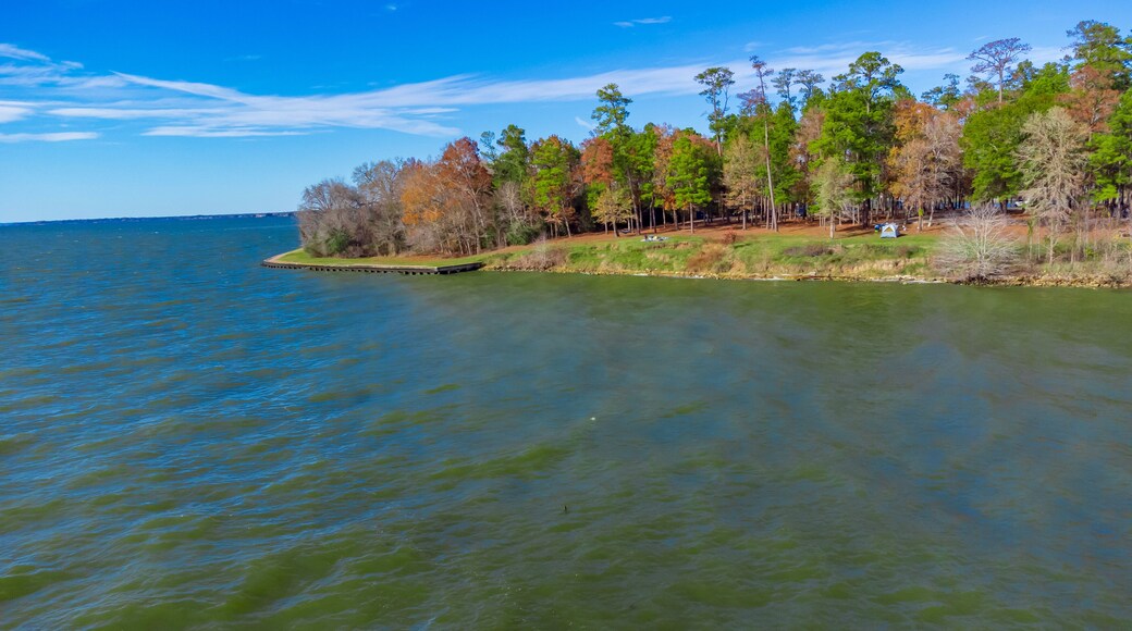 Aerial view of lake livingston state park, Texas, USA.- landscape images