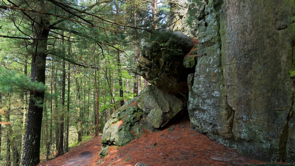 Rock wall and woods at castle mound