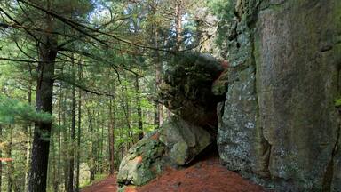 Rock wall and woods at castle mound
