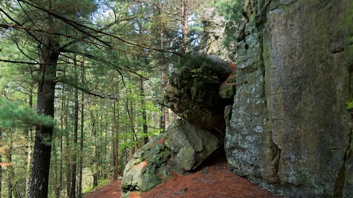 Rock wall and woods at castle mound