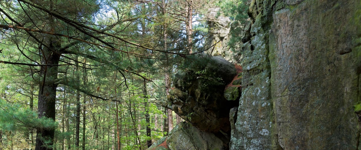 A forest with a large rock formation and a dirt path.