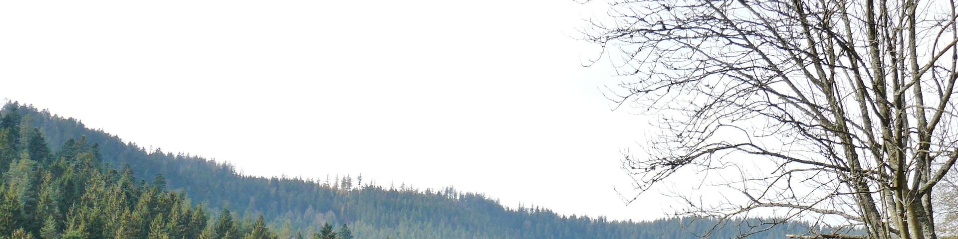 Waldklettergarten Enzklösterle