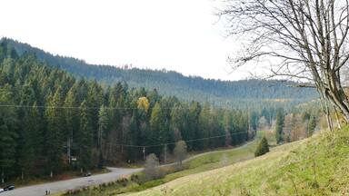 Waldklettergarten Enzklösterle