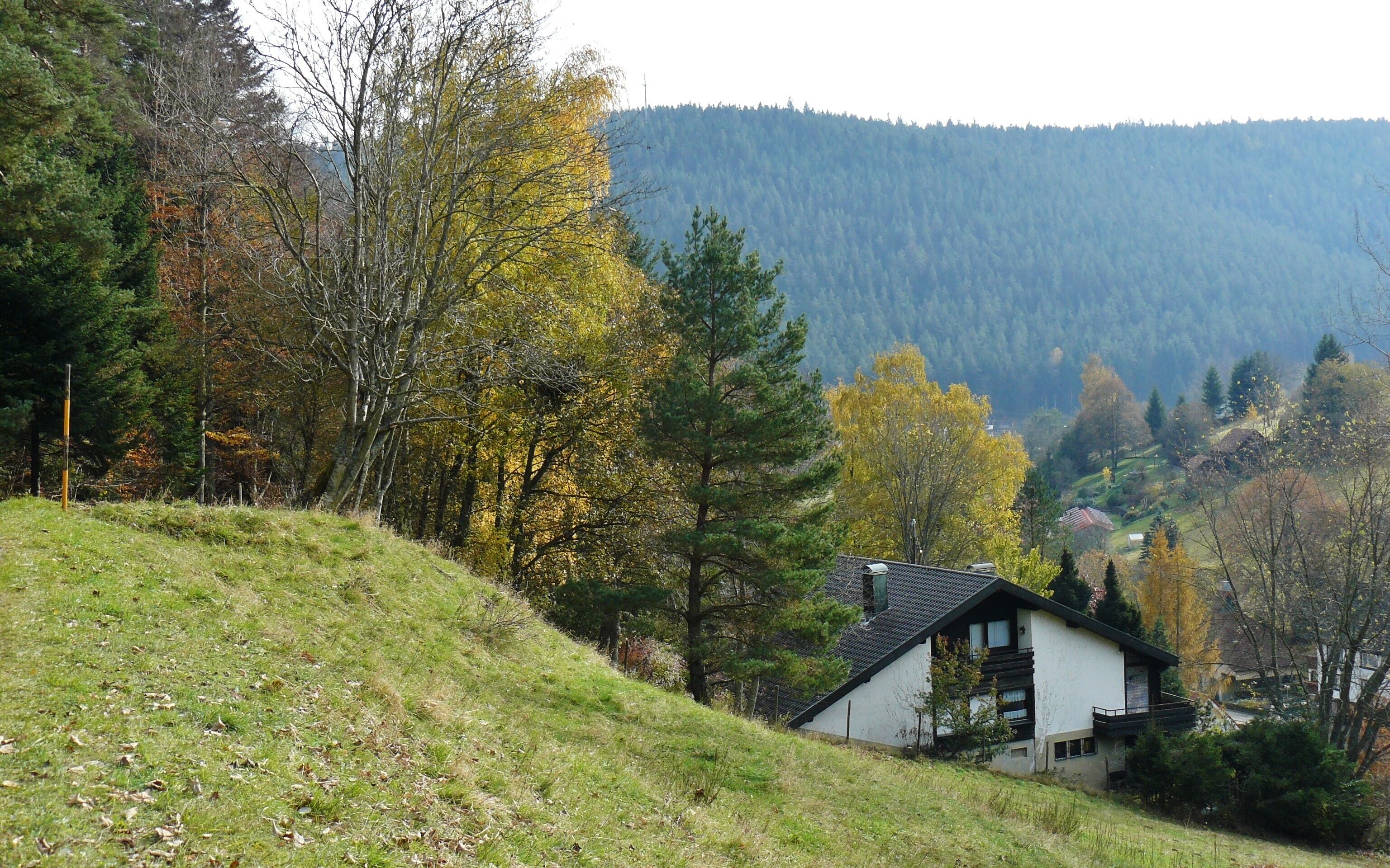 Blick Richtung Enzklösterle