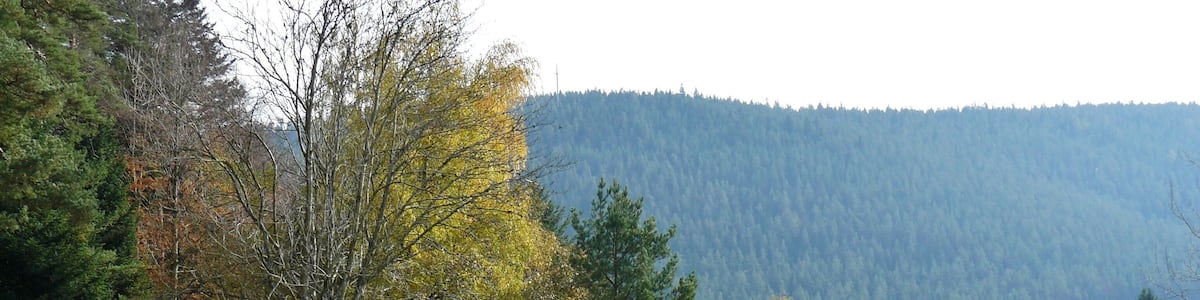 Blick Richtung Enzklösterle