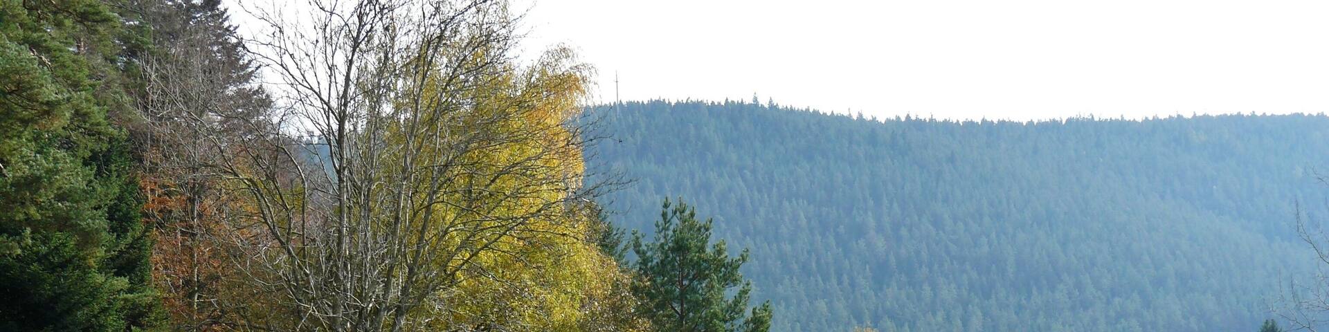 Blick Richtung Enzklösterle