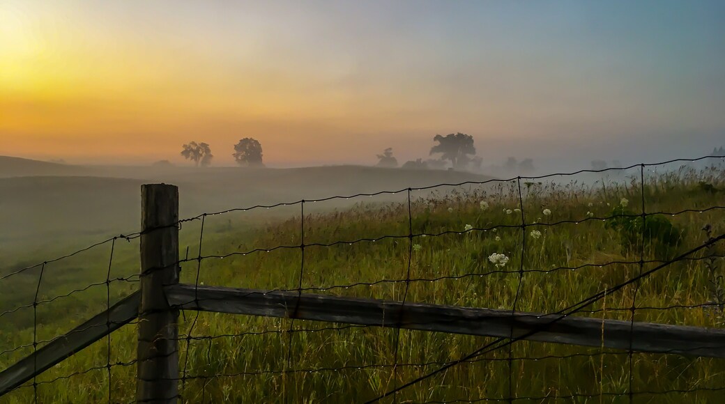 A Misty, Summer Morning in Erin, Ontario