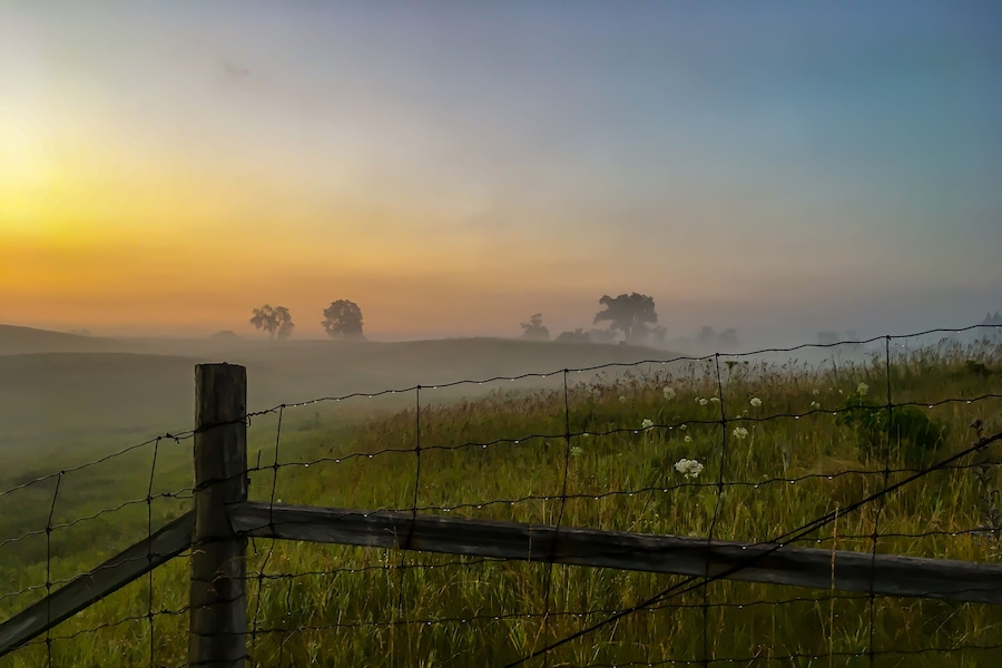 A Misty, Summer Morning in Erin, Ontario