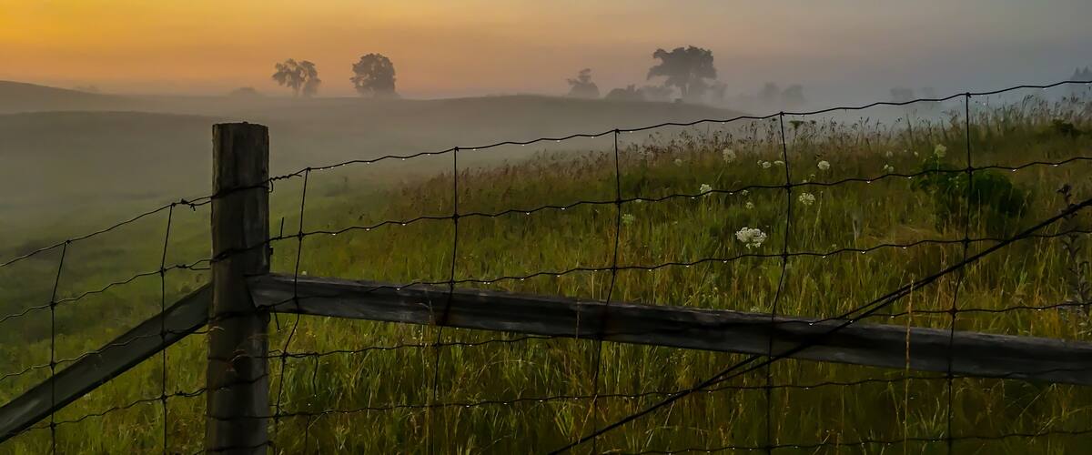 A misty landscape with a wooden fence in the foreground and trees in the background.