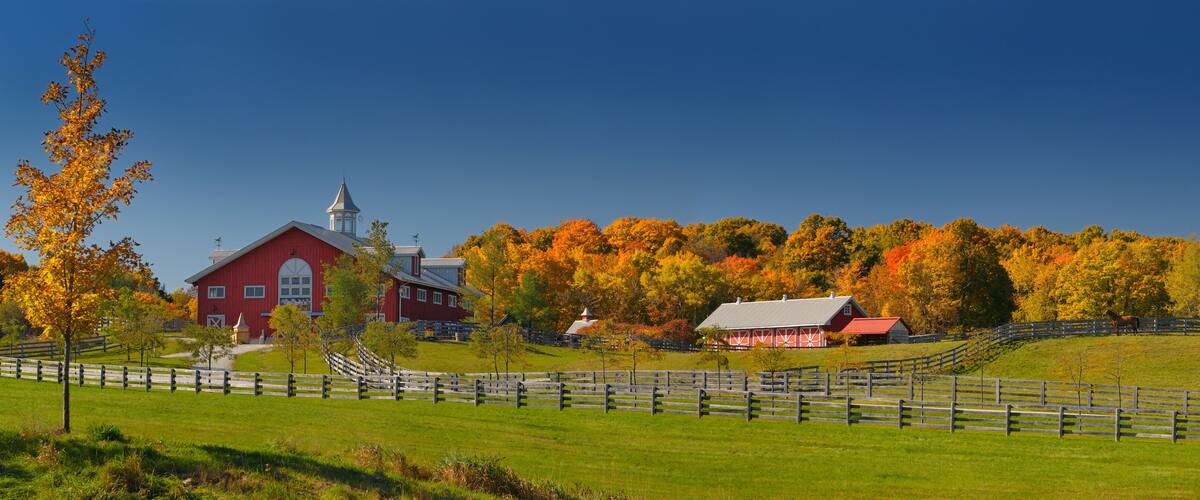 A red barn, a white church, and a horse in a grassy field with autumn trees.
