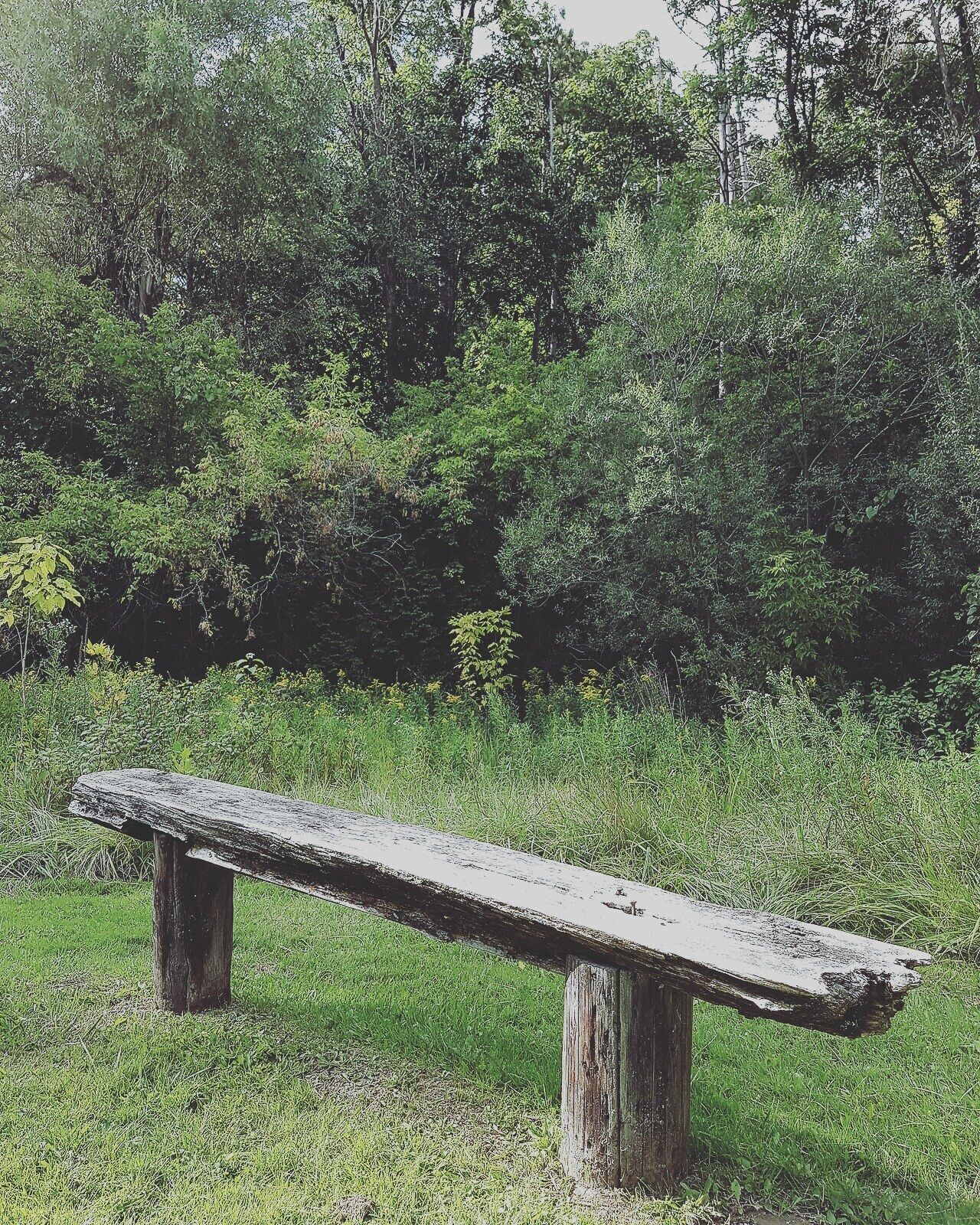 #SerenityNow #caledon #nature #trees