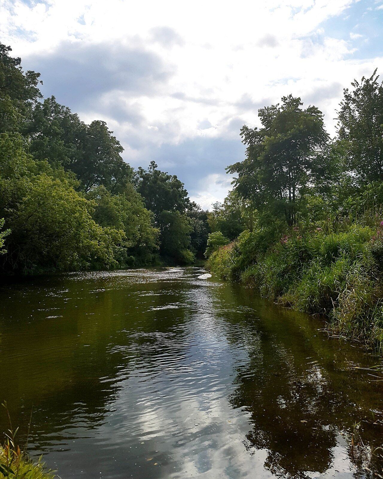 😊 #nature #sky #sun #summer #tree #canada #clouds #beauty #caledon #cloudporn #photooftheday #green #skylovers #mothernature