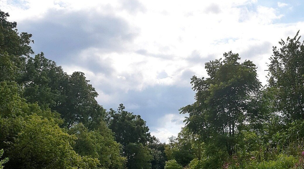 😊 #nature #sky #sun #summer #tree #canada #clouds #beauty #caledon #cloudporn #photooftheday #green #skylovers #mothernature
