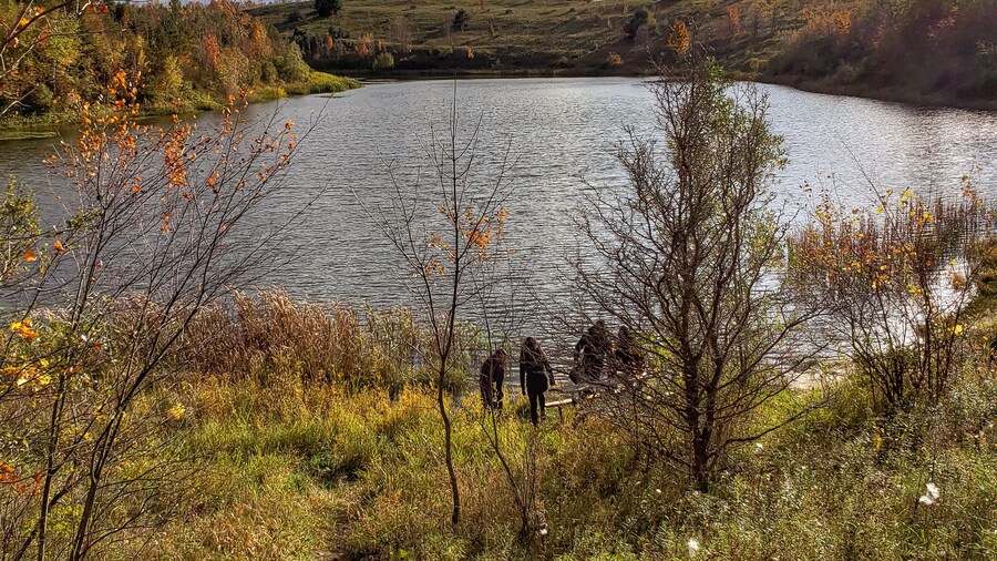 Autumn colours peaking