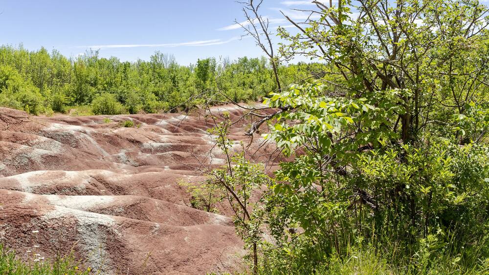 The Cheltenham Badlands in Caledon in summer, Ontario, Canada. “Badlands” is a geologic term for an area of soft rock devoid of vegetation and soil cover.