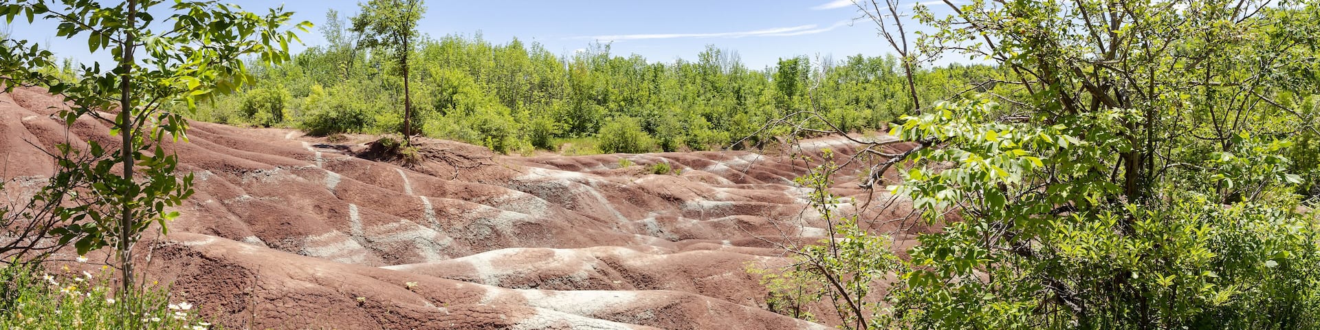 The Cheltenham Badlands in Caledon in summer, Ontario, Canada. “Badlands” is a geologic term for an area of soft rock devoid of vegetation and soil cover.