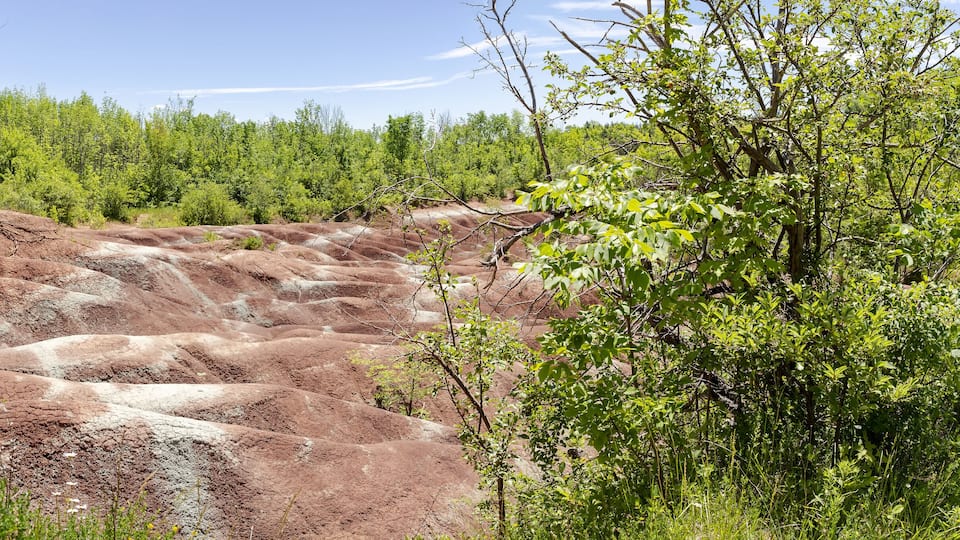 A terraced landscape with reddish soil, surrounded by green vegetation and trees.