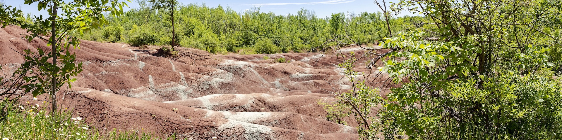 The Cheltenham Badlands in Caledon in summer, Ontario, Canada. “Badlands” is a geologic term for an area of soft rock devoid of vegetation and soil cover.