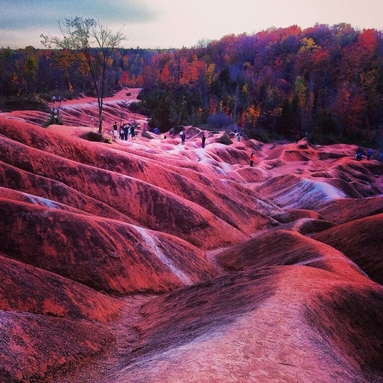 A landscape of red-hued hills with a forest in the background.