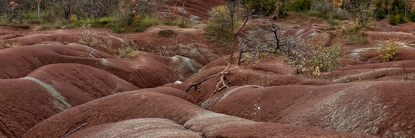 Once upon a time this area was occupied by a large river and later on poor farming took over in the 1930s that lead to soil erosions. The reddish hue of these formations are due to iron oxide deposits and the hills signify the riverbed.