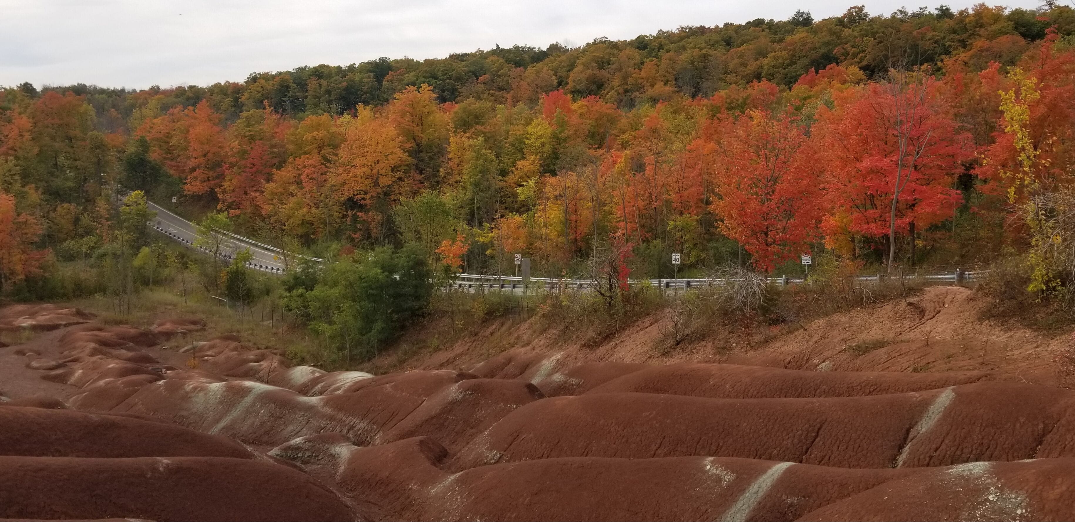 Came here to see the Badlands as a bonus got a beautiful display of fall colors for the backdrop. 

The formation was exposed by poor farming practices in the 1930s that led to soil erosion and exposed the underlying shale.(Wikipedia)