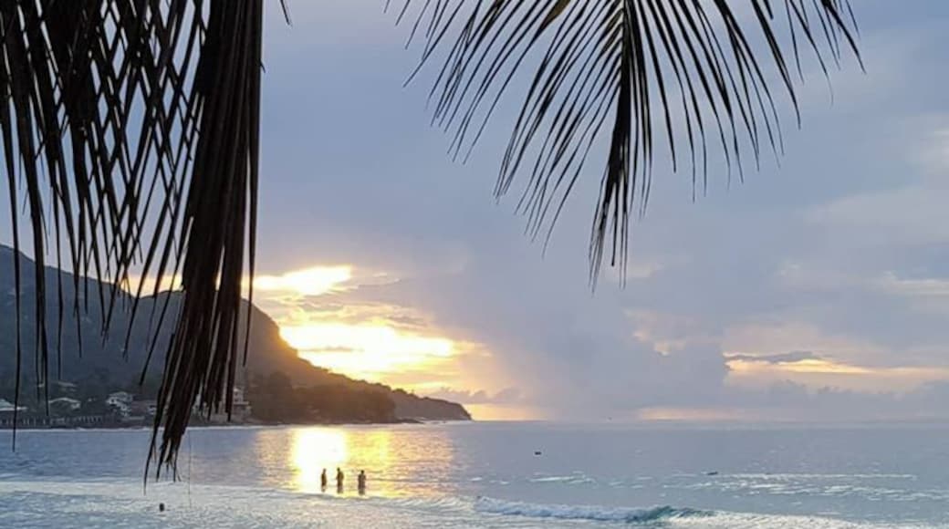 The perfect beach to shop at the local kiosks and try the great seafood and sundowner drinks at the Gecko Bar.
Best market visit destination
#LifeAtExpedia
#Beaches