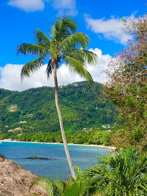 View from my kitchen as I was cooking.